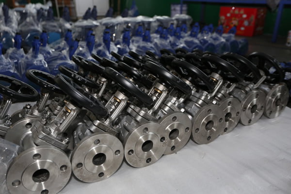 bellow seal valves1