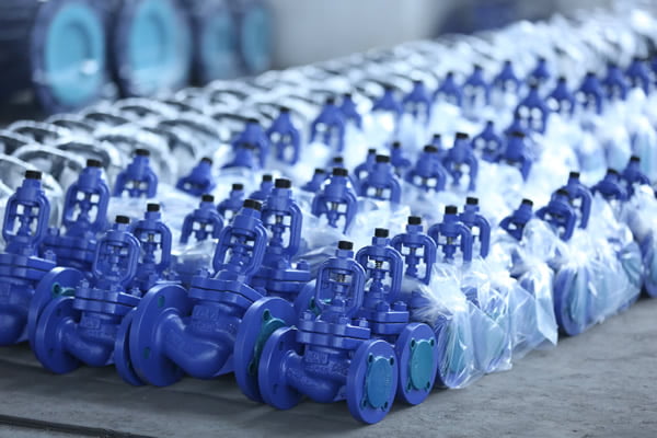 bellow seal valves2