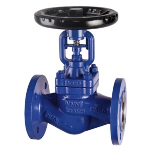 Bellows Seal Globe Valve