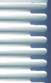 Double seal design packing