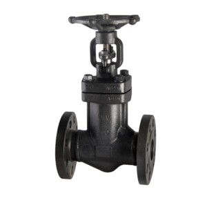 FORGED STEEL BELLOWS SEALED GLOBE VALVE