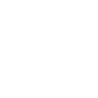 cerlogo 4