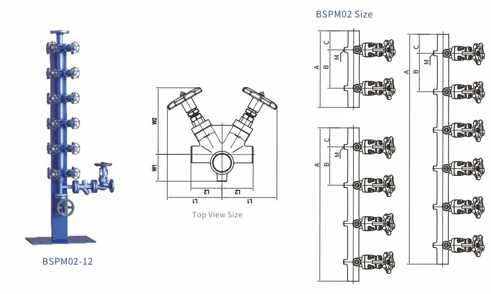 BSPM02 12