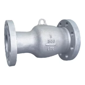 Low temp. Check Valve