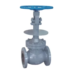 Low temp. Globe Valve