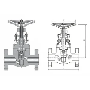 Forged Steel Globe Valve With Integral Flange