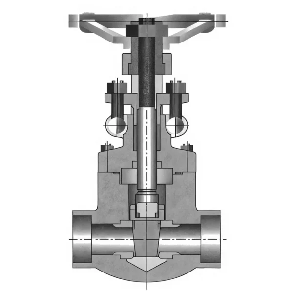 Forged Steel Threaded, Socket Weld Gate Valve