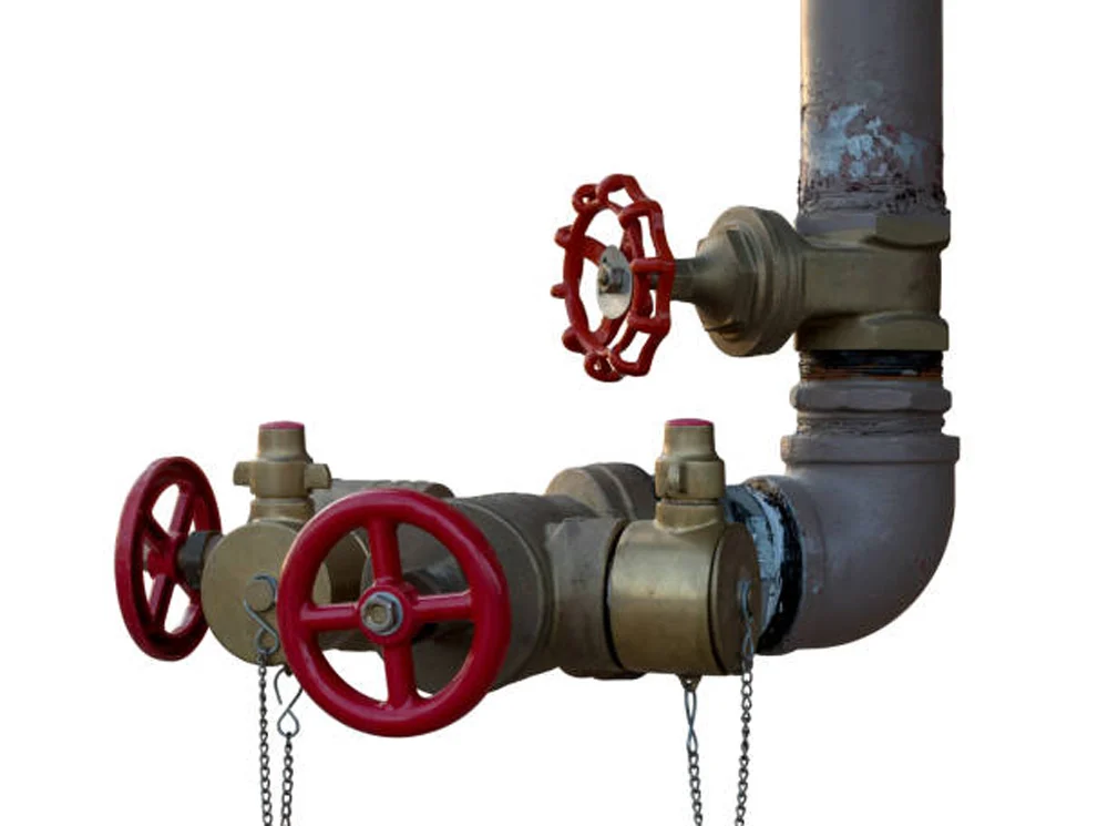 globe valve