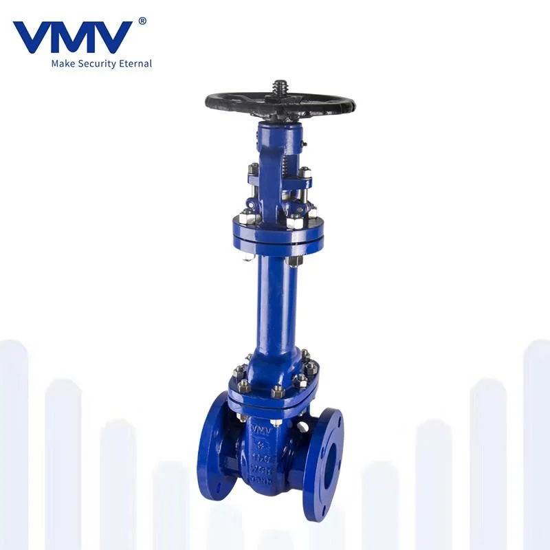 bellows seal gate valve 202106241801182185