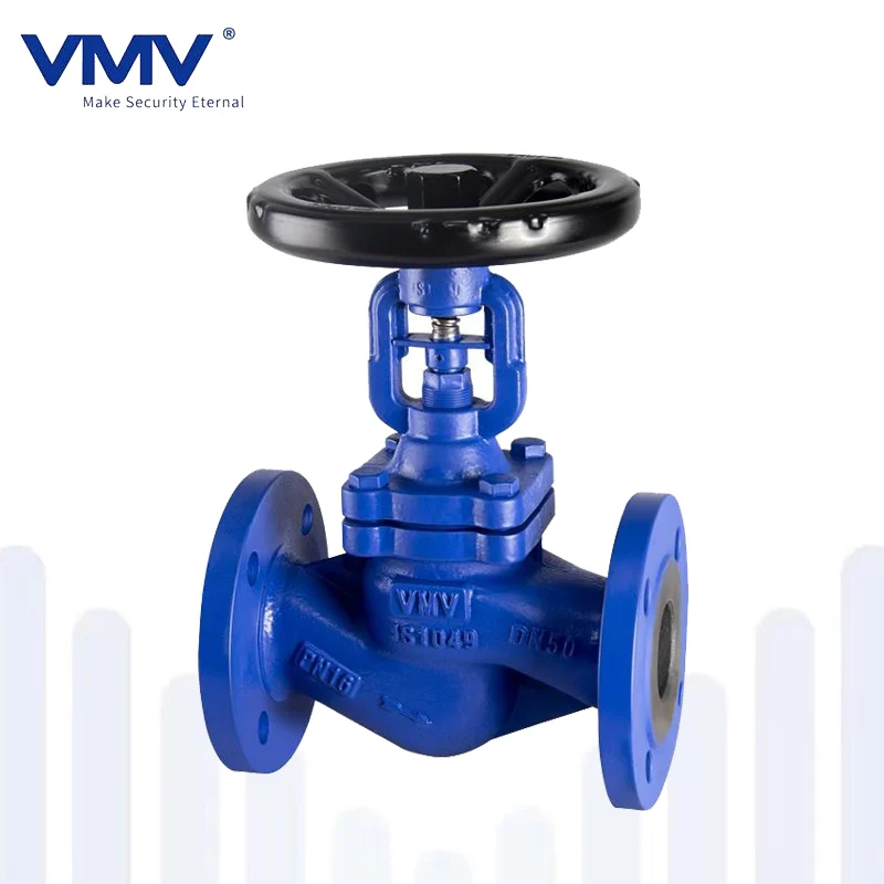 bellows seal globe valve 202110101754530821