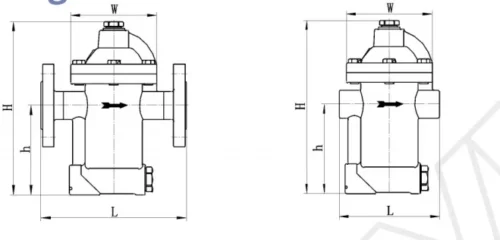 sbt50 2