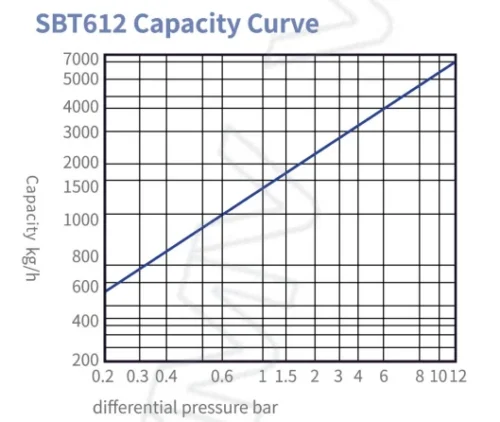 SBT612 Pilot Inverted Bucket Steam Trap2