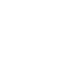 ts v2