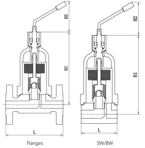 Self operated Temperature Control Valve (5) Self operated Temperature Control Valve (5)